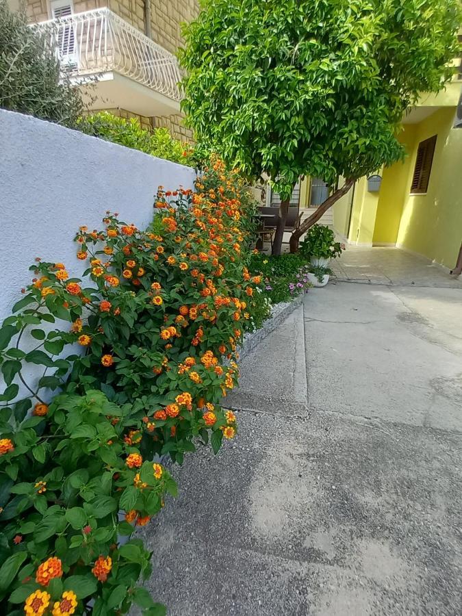 Bugenvilija Duce Exterior photo